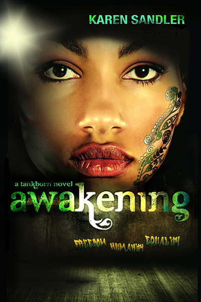 Awakening Final cover